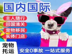 锦州锦州湾机场货运国际宠物托运 【国